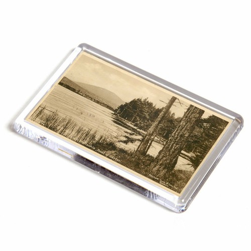 Fridge magnet vintage - fridge,