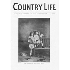 The Daughters of Mrs Delaval Astley Antique Print 1907