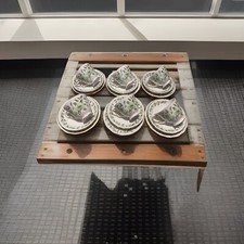 cololough bone china tea set