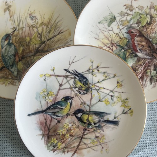 British bird plate collection - british,