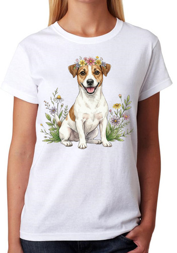 Jack russell terrier - jack,