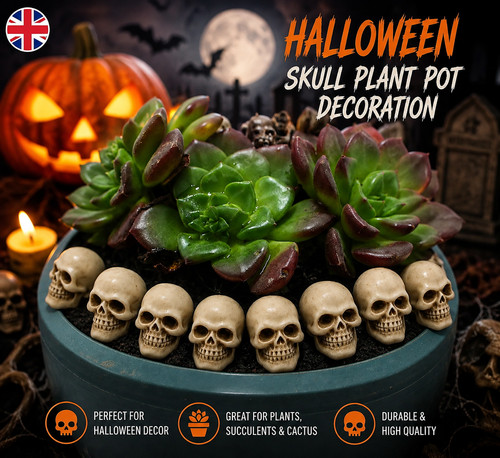 Realistic plastic skull head - realistic,