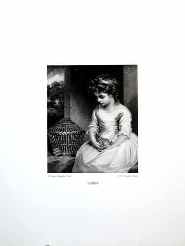 Old antique print lesbia - lesbia, sir