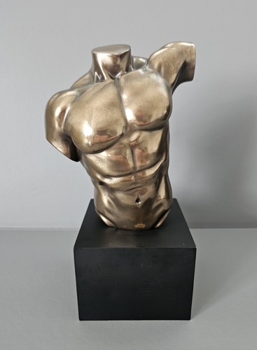 Veronese design male torso - veronese,