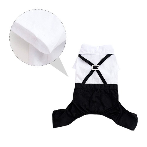 Pet formal wear fashion - pet,