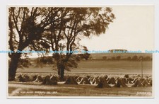 C007111 20914. High Down