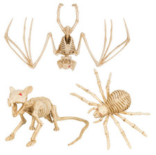 Halloween Animal Skeleton Prop