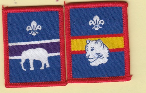 Boy scout badges - boy,