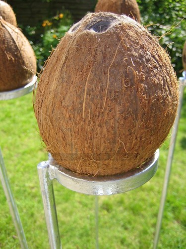 Mini coconut shy set 3 - mini,