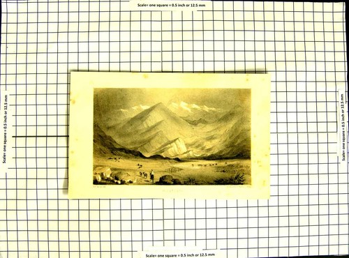 Original old antique print - antique,