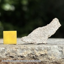 Titanosaur dinosaur eggshell