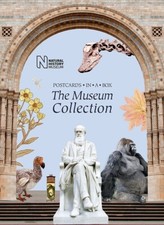 The Museum Collection. 50