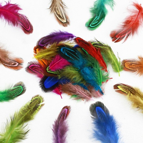 100 pcs dyed multi - 10-100,