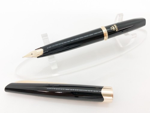 Platinum japan fountain pen - fountain,