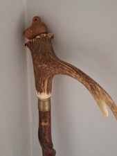 Vintage Horn Handle Walking