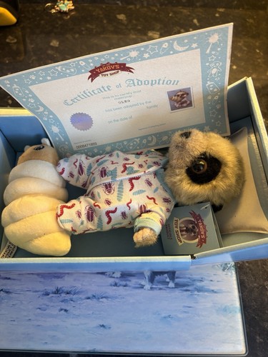 Compare the meerkat baby - compare,