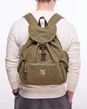 Staffordshire Bull Terrier