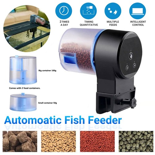 Automatic fish feeder - fish,