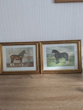Vintage Shire Horse Prints Clydesdale Stallion, Shire Stallion, Framed & Glazed
