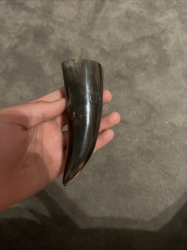 Cow horn vintage - cow,