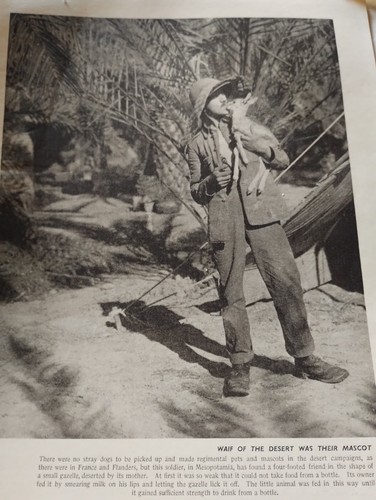 Sk315 ephemera ww1 picture - ww1,