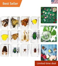 Versatile 12 Pcs Bug