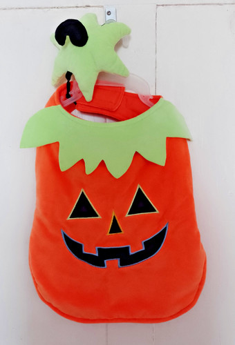 Pets home halloween pumpkin - pets,