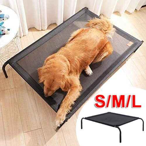 Elevated dog bed pet - pet, raised