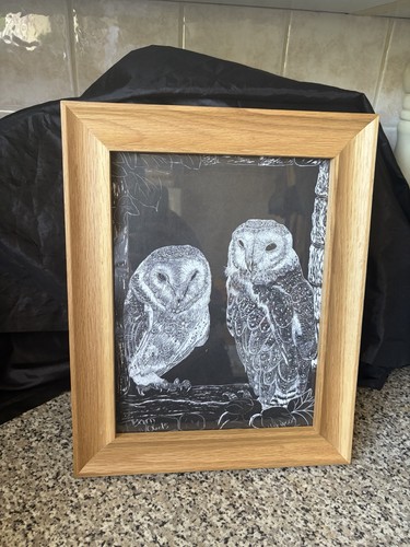 Vintage framed barn owl hand - vintage,