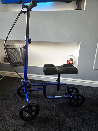 Blue black adult - blue/black, 4-wheel