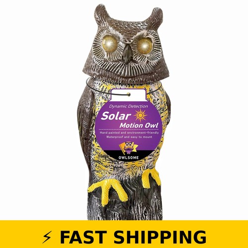 Owlsome solar owl - solar,
