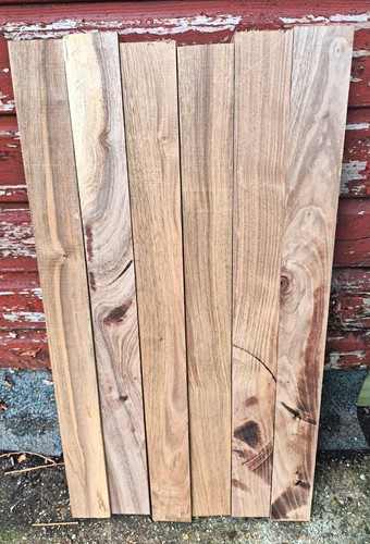 English walnut end - 1, x
