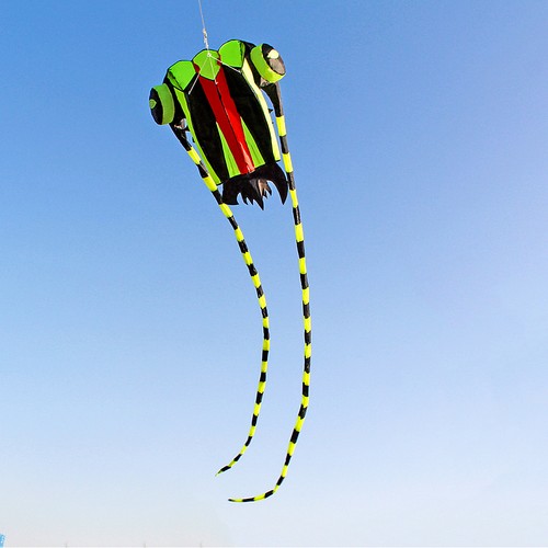 Kite for kids and adults - 3d,