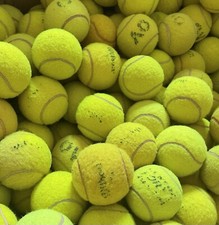 12 Branded Used Tennis Balls