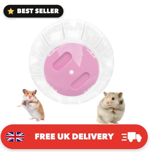 Dwarf hamster ball small - hamster, ball,