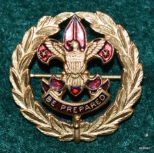 VINTAGE BOY SCOUT - FIELD