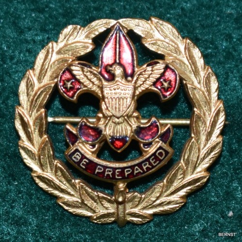 Vintage boy scout field - boy,