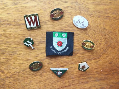 Vintage enamel badge lot - wi,