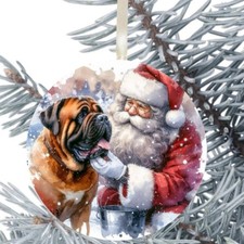 Bull Mastiff Dog Hanging