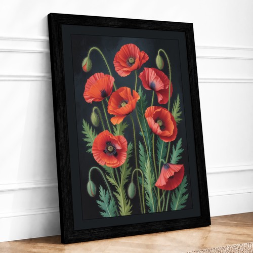 Poppies study botanical - poppies,