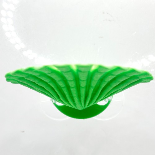 Aquarium betta ledge mushroom - betta,