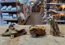 Nano derwen oak bogwood - derwen,