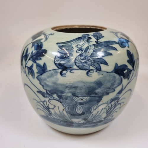 Large antique chinese blue - antique, and