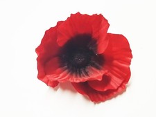 Silk Poppy Flower Heads Only