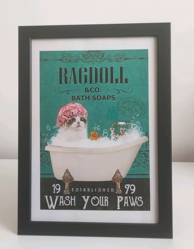 Ragdoll cat wash your paws - ragdoll,