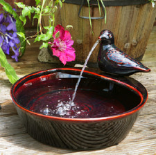 Bird Bowl Water Feature