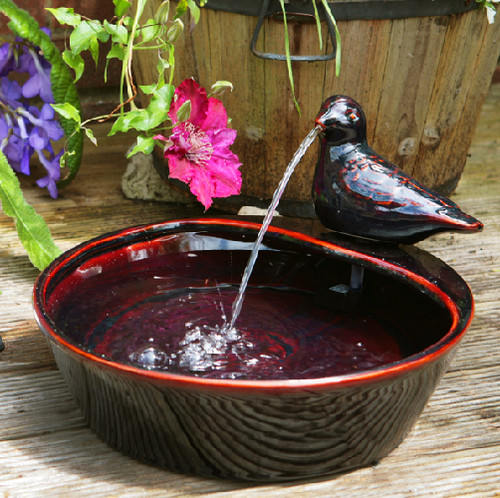 Bird bowl water feature - bird,