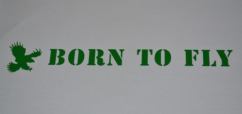 Born fly bird prey - to,