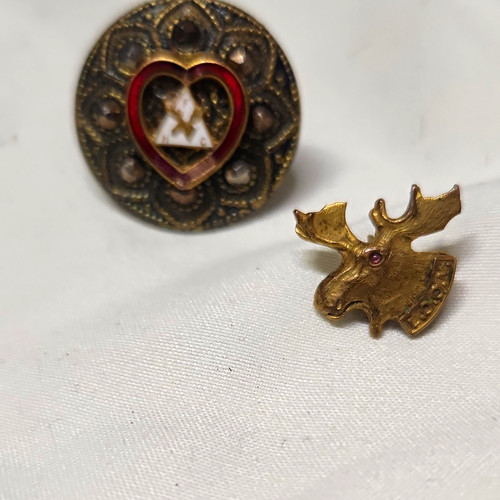 Moose screw back lapel pin - screw-back,