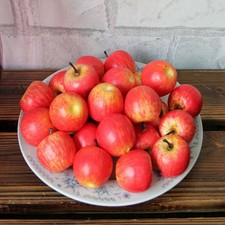 10 PACK Artificial Fake Green/Red Apples Plastic Fruits Kitchen Home Decor New